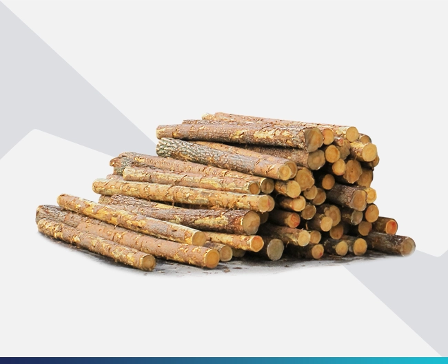 Timber